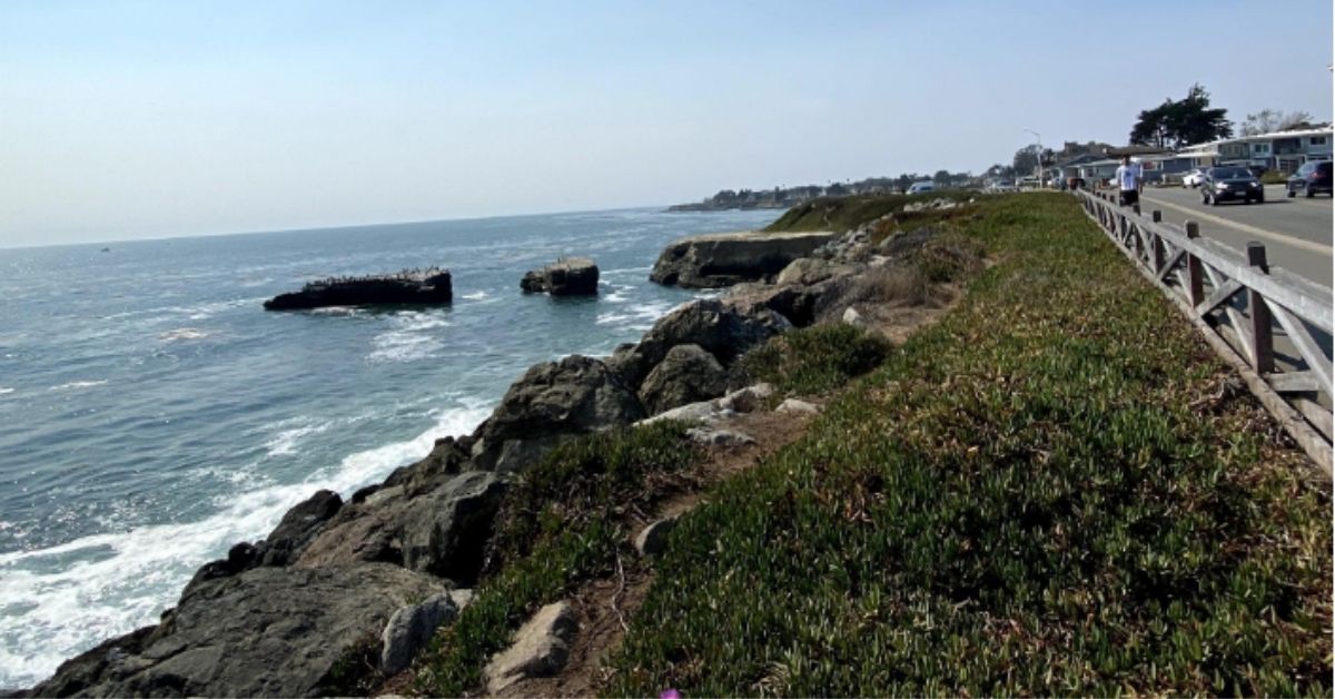 From San Francisco to San Diego: A mini-West Coast guide