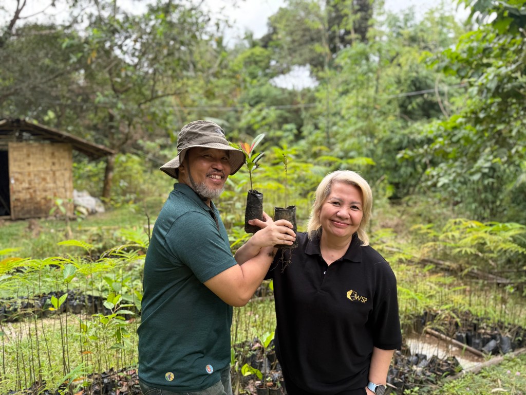 WSP Forms Strategic Partnership With BSD to Strengthen Corporate Sustainability Communication