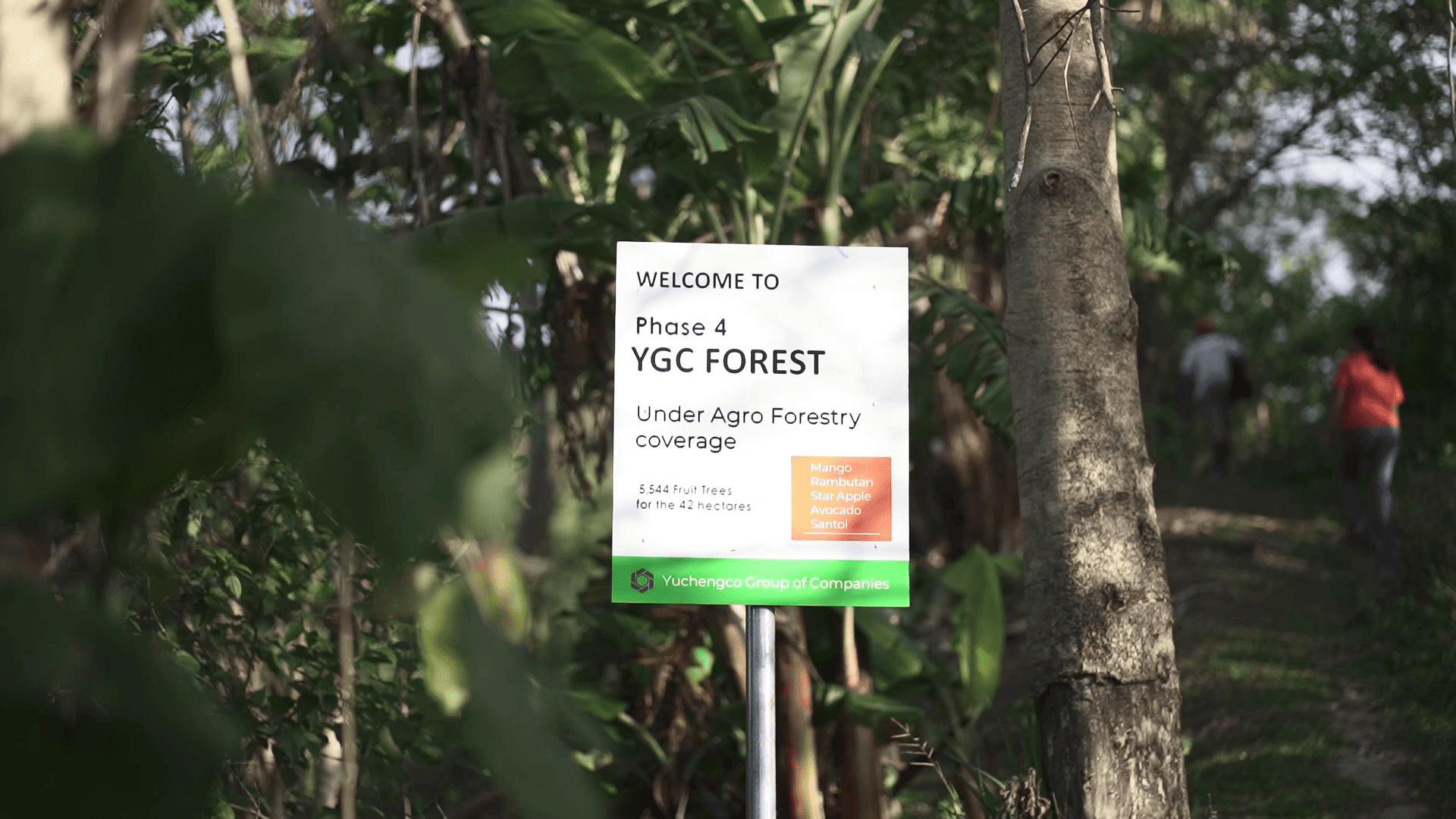 Pioneering YGC Earth Care Project Bears Fruit for Sustainable Nature and Community Livelihood